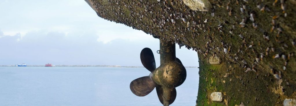 Biofouling no casco do navio porta containers.